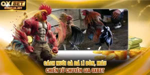 Cách nuôi gà đá