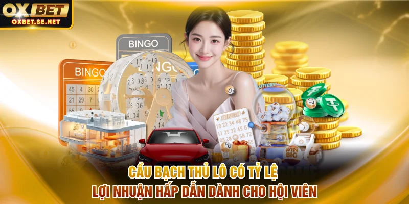 Cầu bạch thủ lô có tỷ lệ lợi nhuận hấp dẫn dành cho hội viên