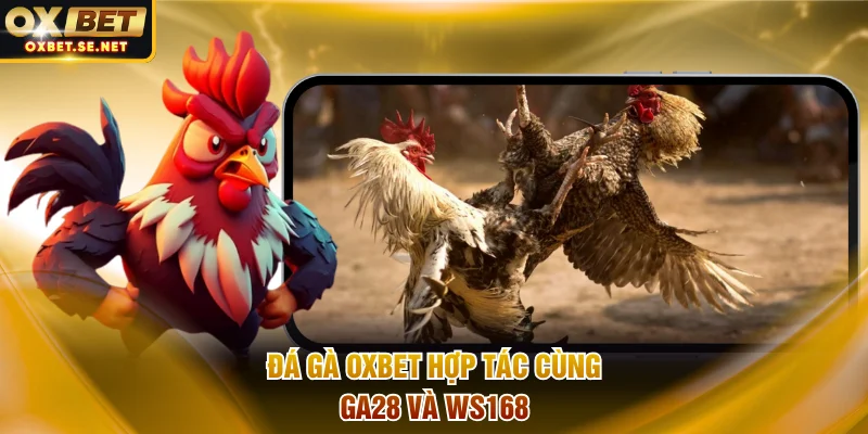 Đá gà OXBET hợp tác cùng GA28 và WS168