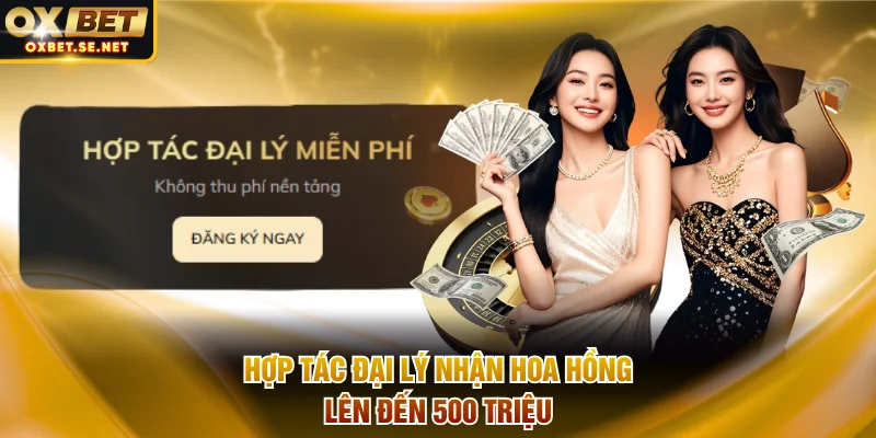 Hợp tác đại lý nhận hoa hồng lên đến 500 triệu