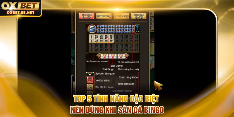 Top 5 tính năng đặc biệt nên dùng khi săn cá Bingo