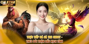 Trực tiếp đá gà tre