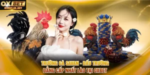 Trường gà Savan